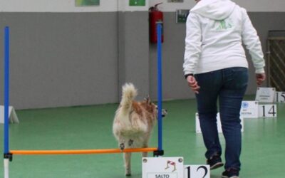 HAI MAI PENSATO DI PRATICARE UNO SPORT CON IL TUO CANE?