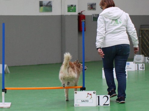 HAI MAI PENSATO DI PRATICARE UNO SPORT CON IL TUO CANE?